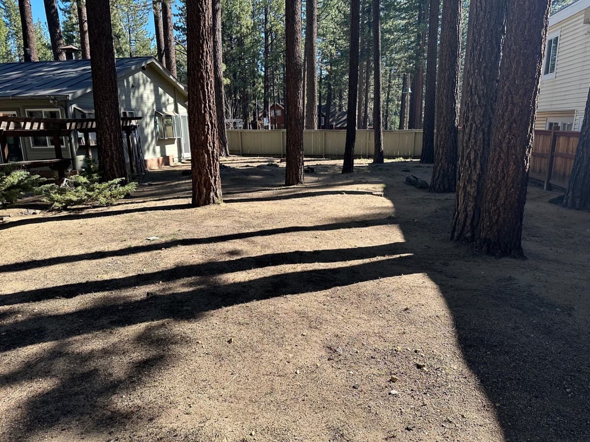 Yard after cleanup — cleared and tidy